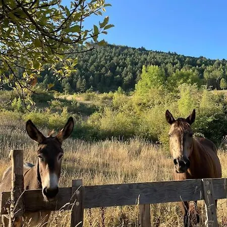 Domaine Des Combes - La Ferme Aux Anes 14 Pers. Dom wakacyjny Millau