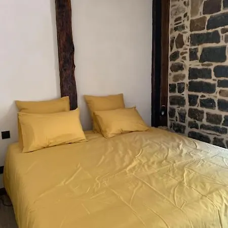 Domaine Des Combes - La Ferme Aux Anes 14 Pers. Holiday home *