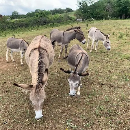 Domaine Des Combes - La Ferme Aux Anes 14 Pers. Ferienhaus